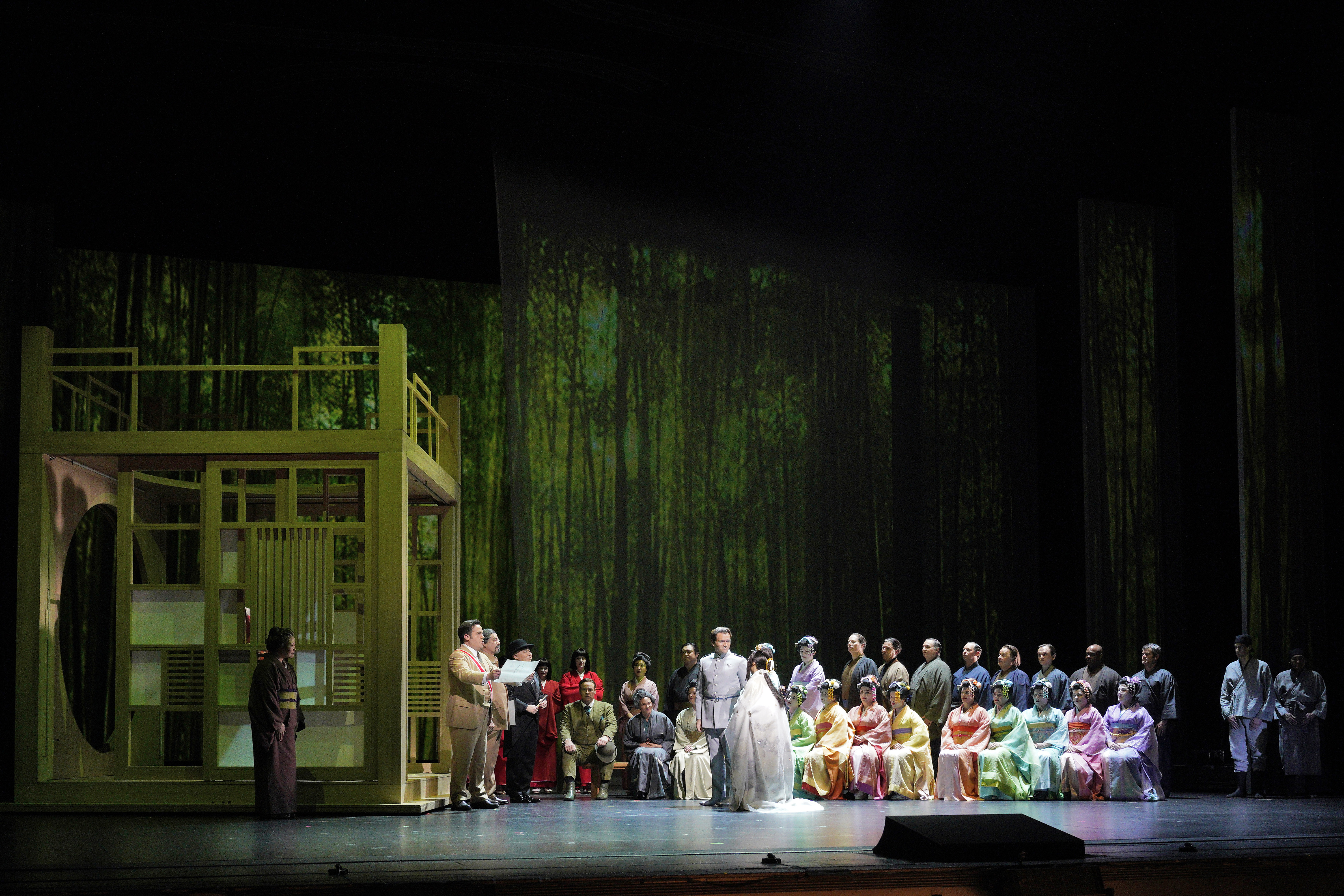 madame butterfly